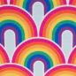 Preview: Baumwolljersey Rainbows by Lycklig Design von Swafing